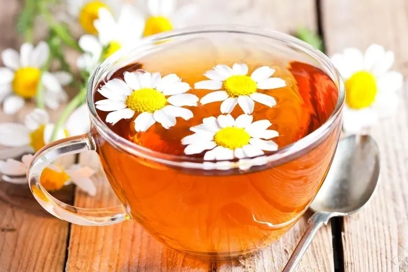 CHAMOMILE