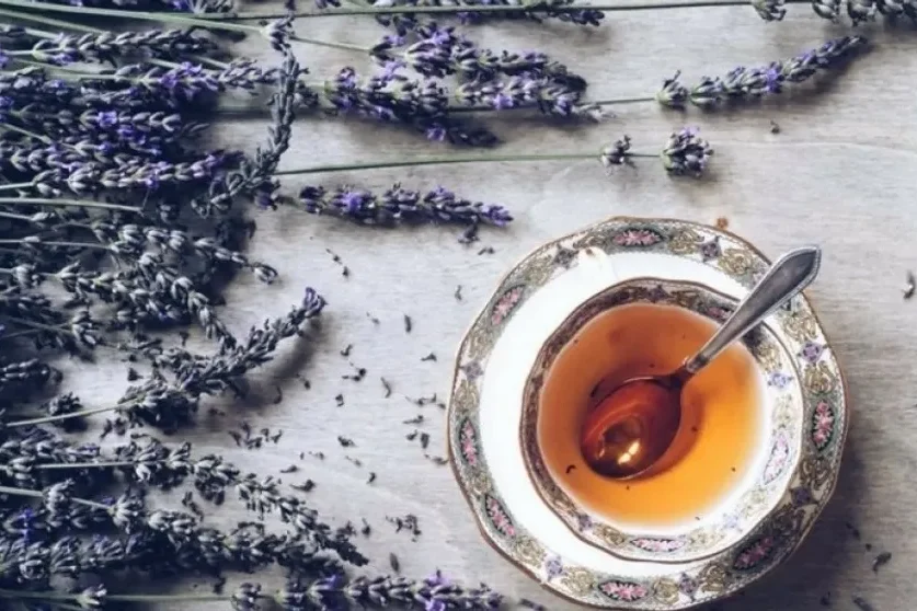 lavendar